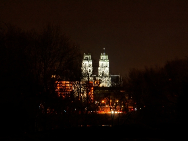 Cathédrale, vue du pont de l'Europe la nuit.jpg